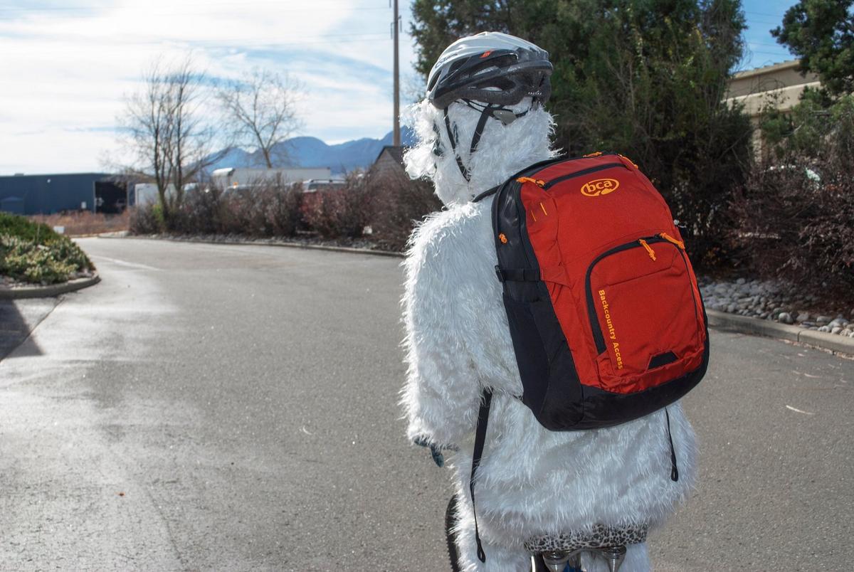 Best shop everyday backpack