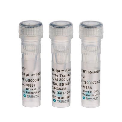 EpiScript RNase H- Reverse Transcriptase Kit