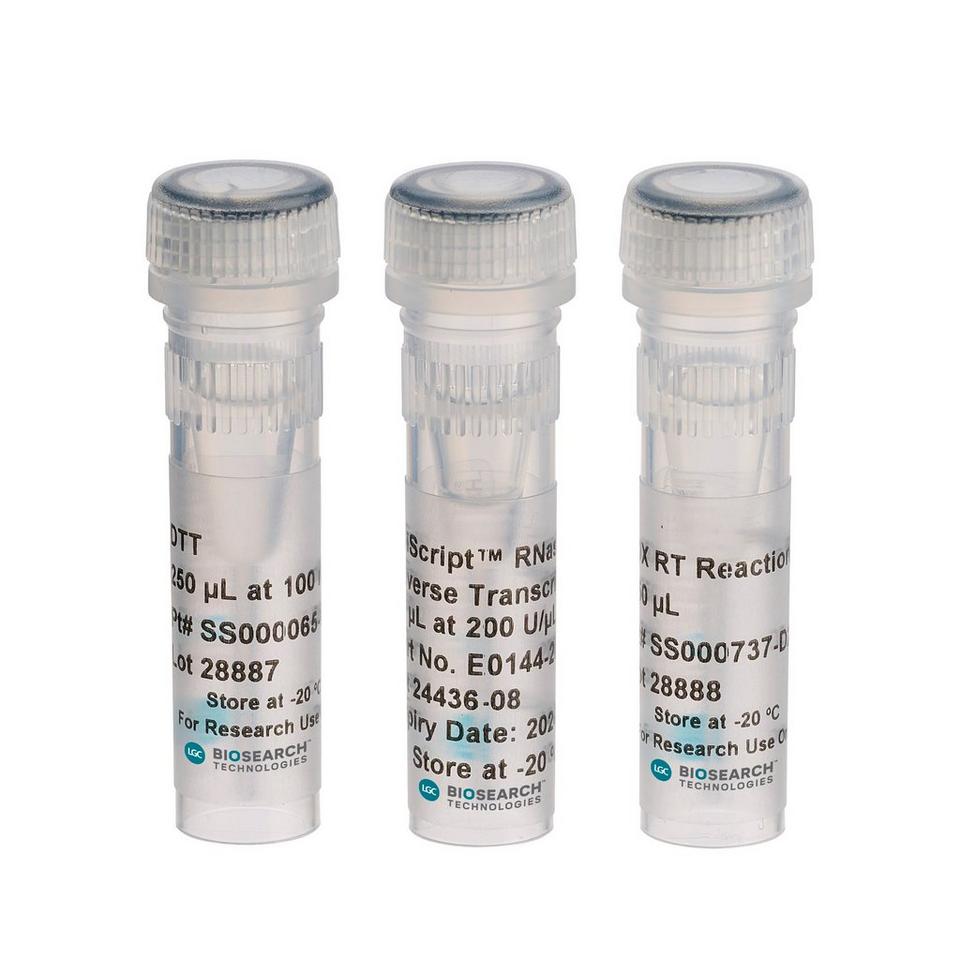 EpiScript RNase H- Reverse Transcriptase Kit