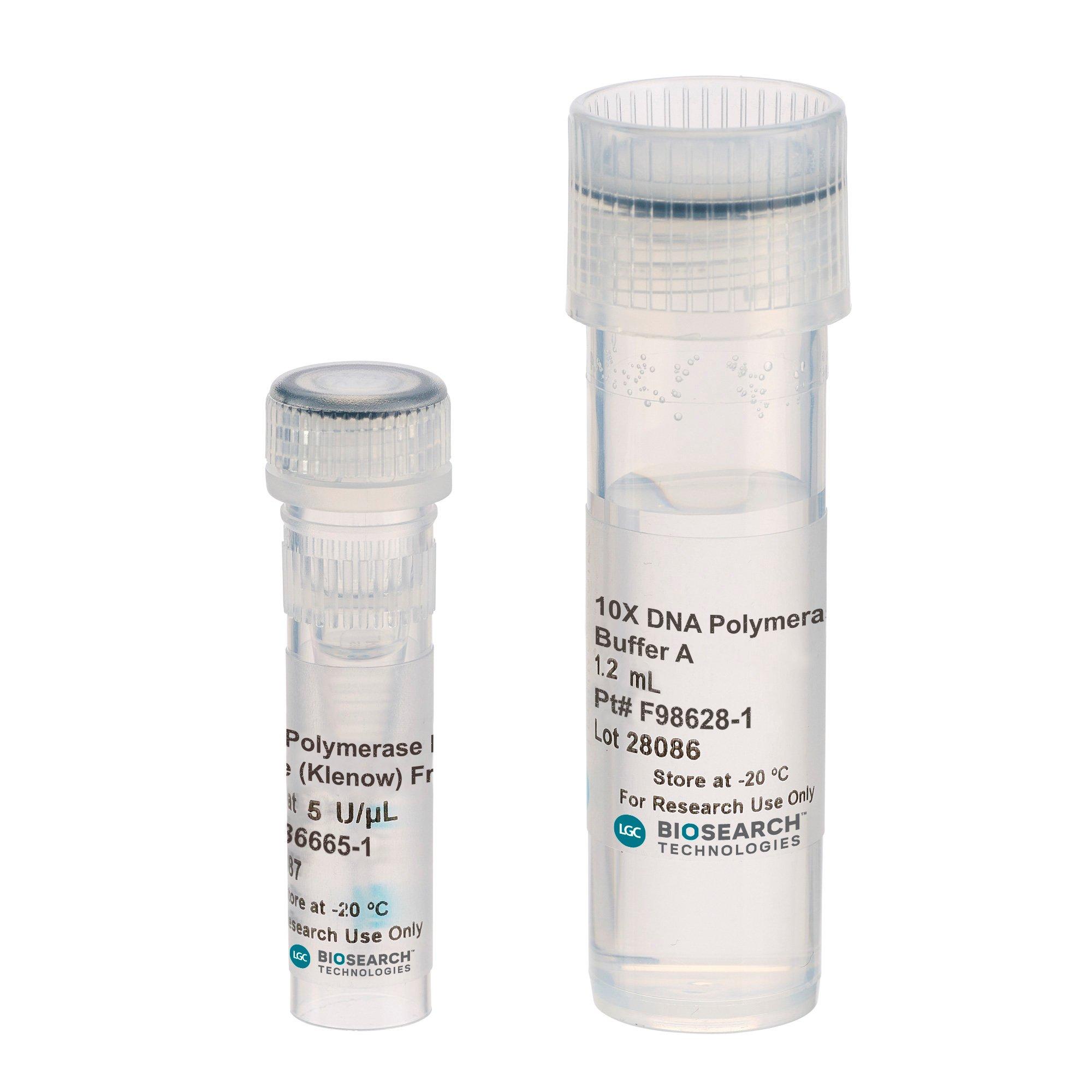 DNA Polymerase I Large (Klenow) Fragment
