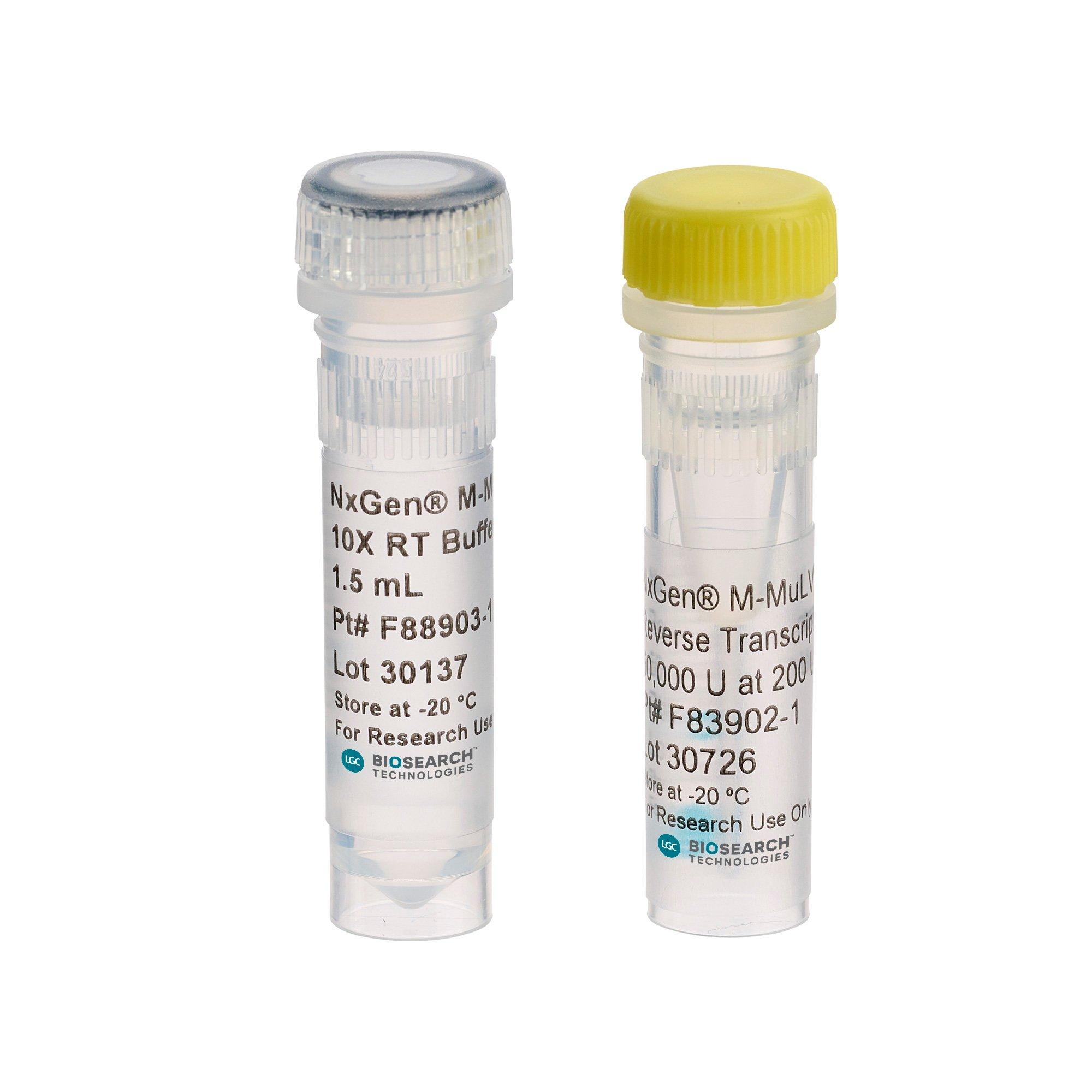 NxGen M-MuLV Reverse Transcriptase