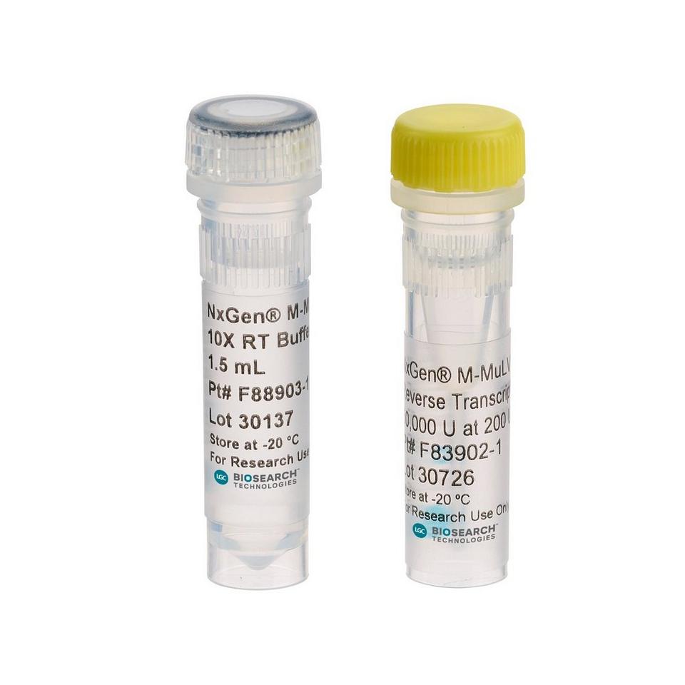 NxGen M-MuLV Reverse Transcriptase