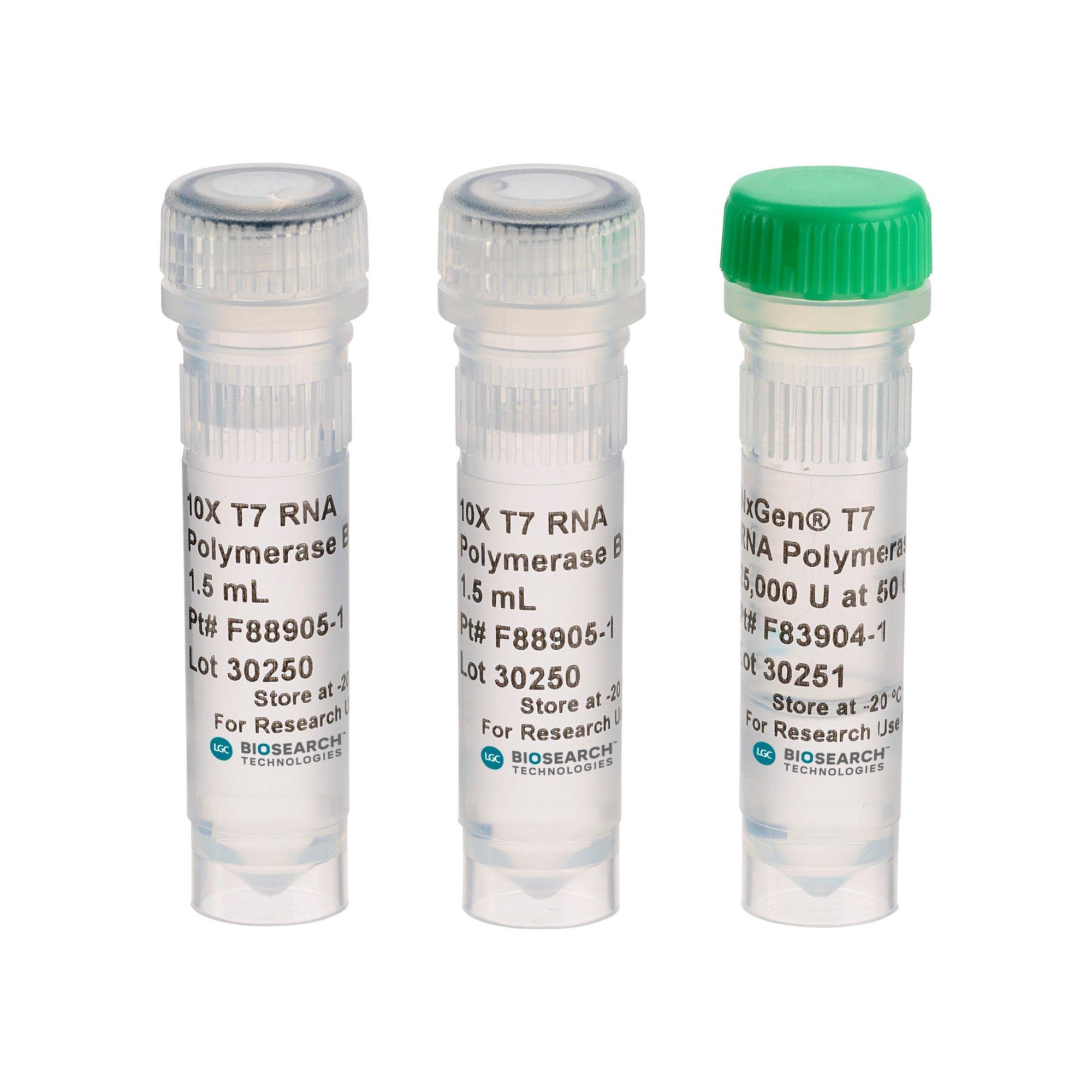 NxGen T7 RNA Polymerase