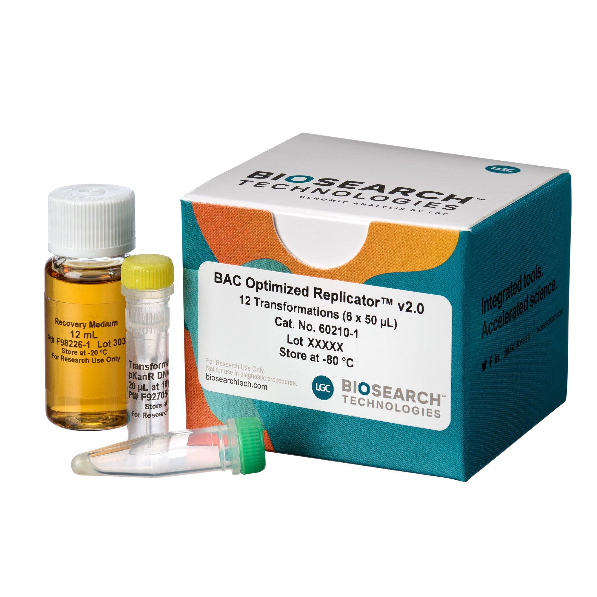 BAC-Optimised Electrocompetent Cells