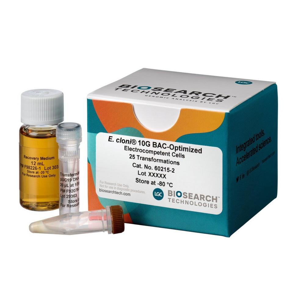 BAC-Optimised Electrocompetent Cells | LGC, Biosearch Technologies