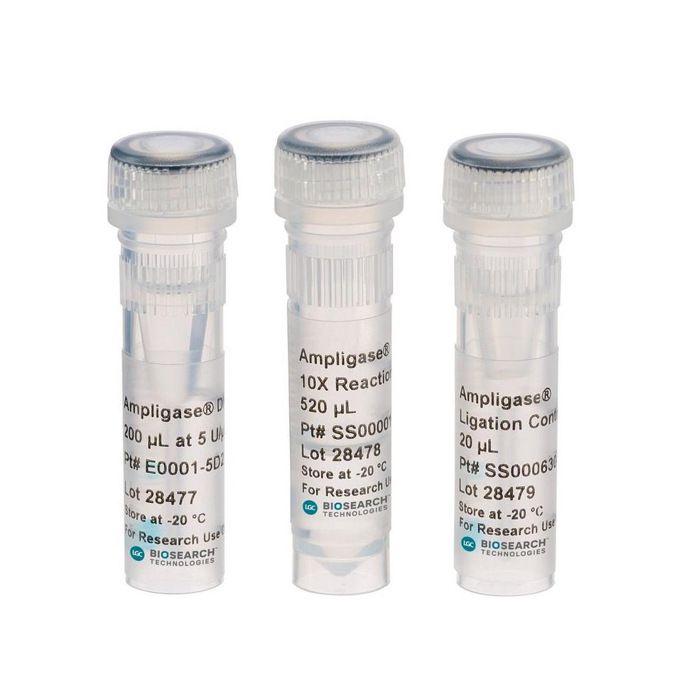 Ampligase Thermostable DNA Ligase