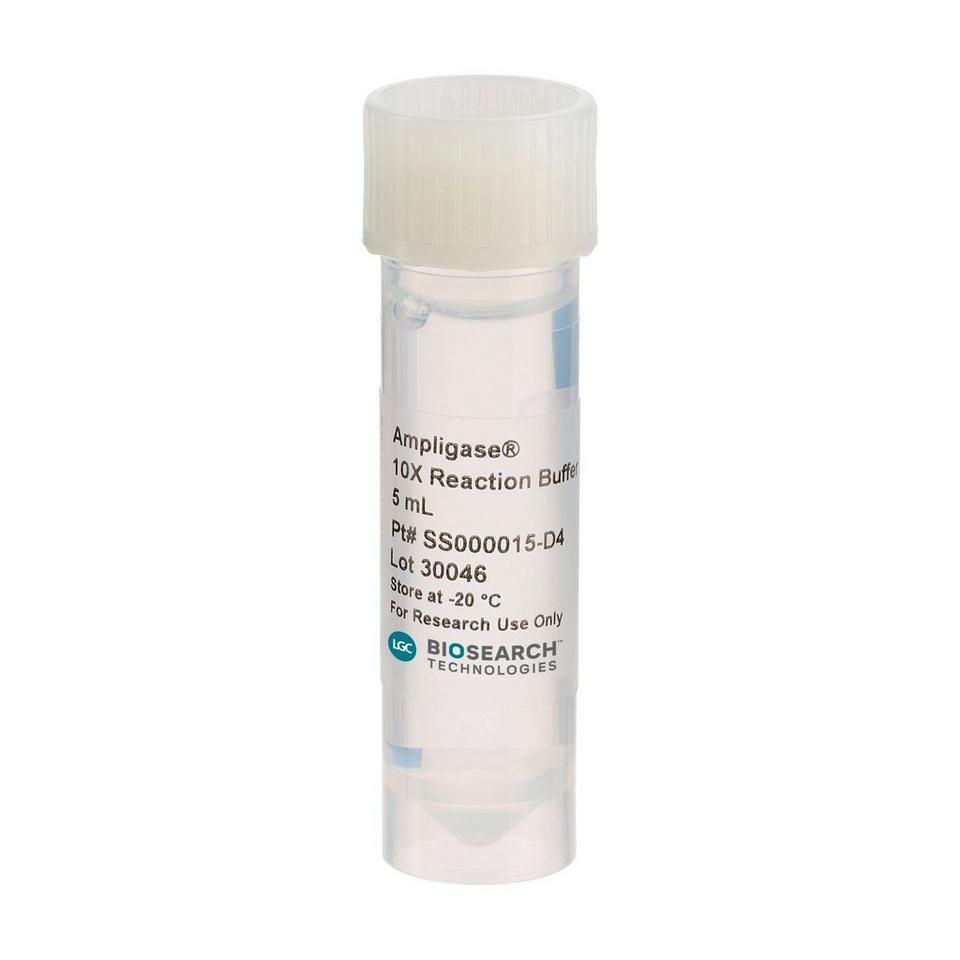 Ampligase 10X Reaction Buffer