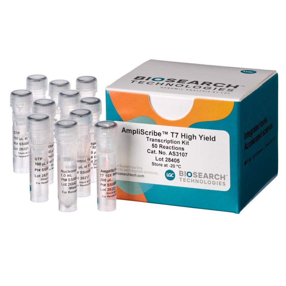 AmpliScribe T7 High Yield Transcription Kit
