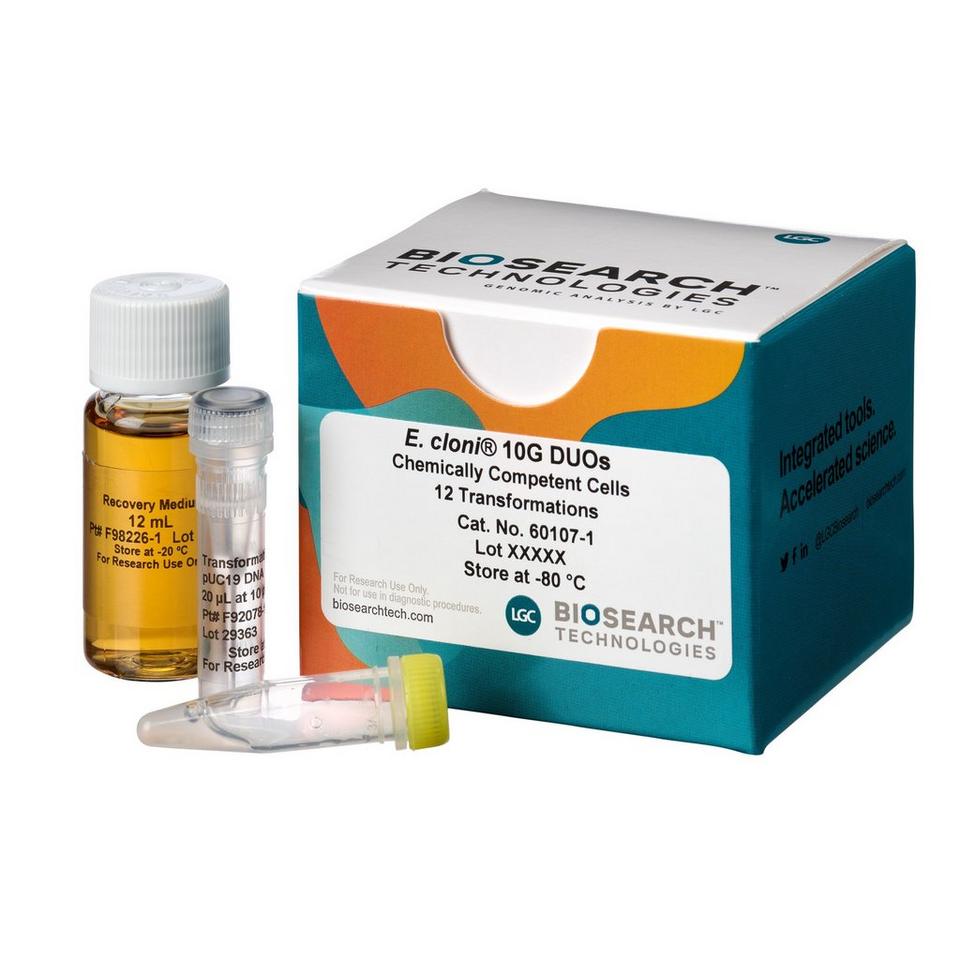 E. cloni 10G Chemically Competent Cells