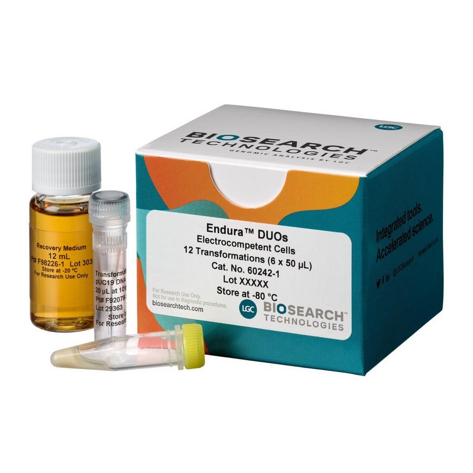Endura Competent Cells | LGC, Biosearch Technologies