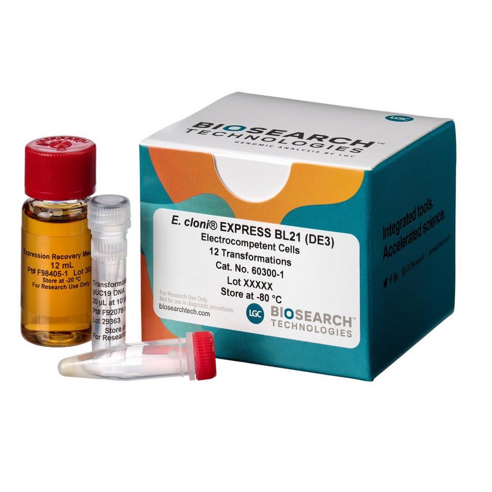 E. cloni EXPRESS Competent Cells | LGC, Biosearch Technologies
