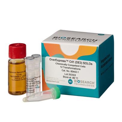 OverExpress Chemically Competent Cells