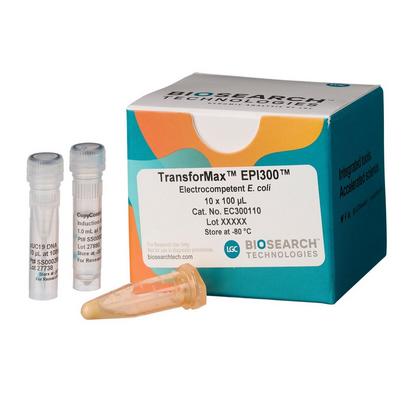 Endura Competent Cells | LGC, Biosearch Technologies