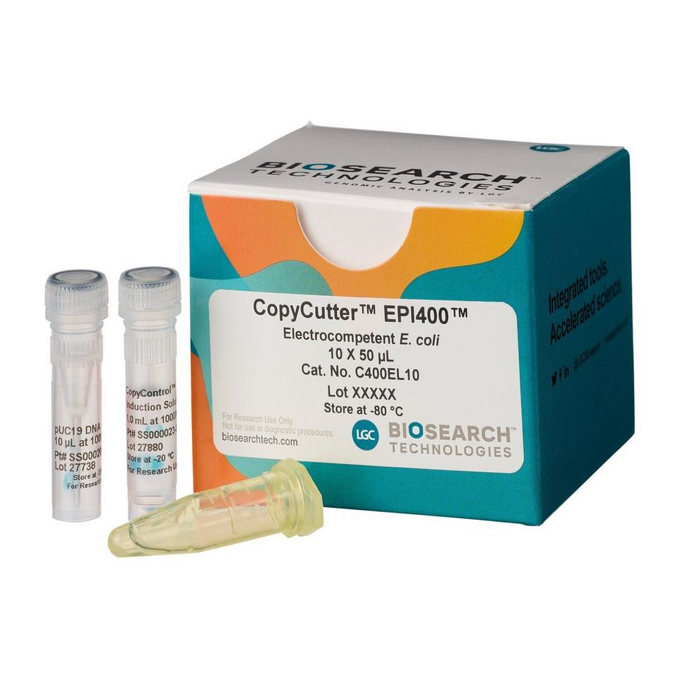 CopyCutter EPI400 Competent Cells | LGC, Biosearch Technologies