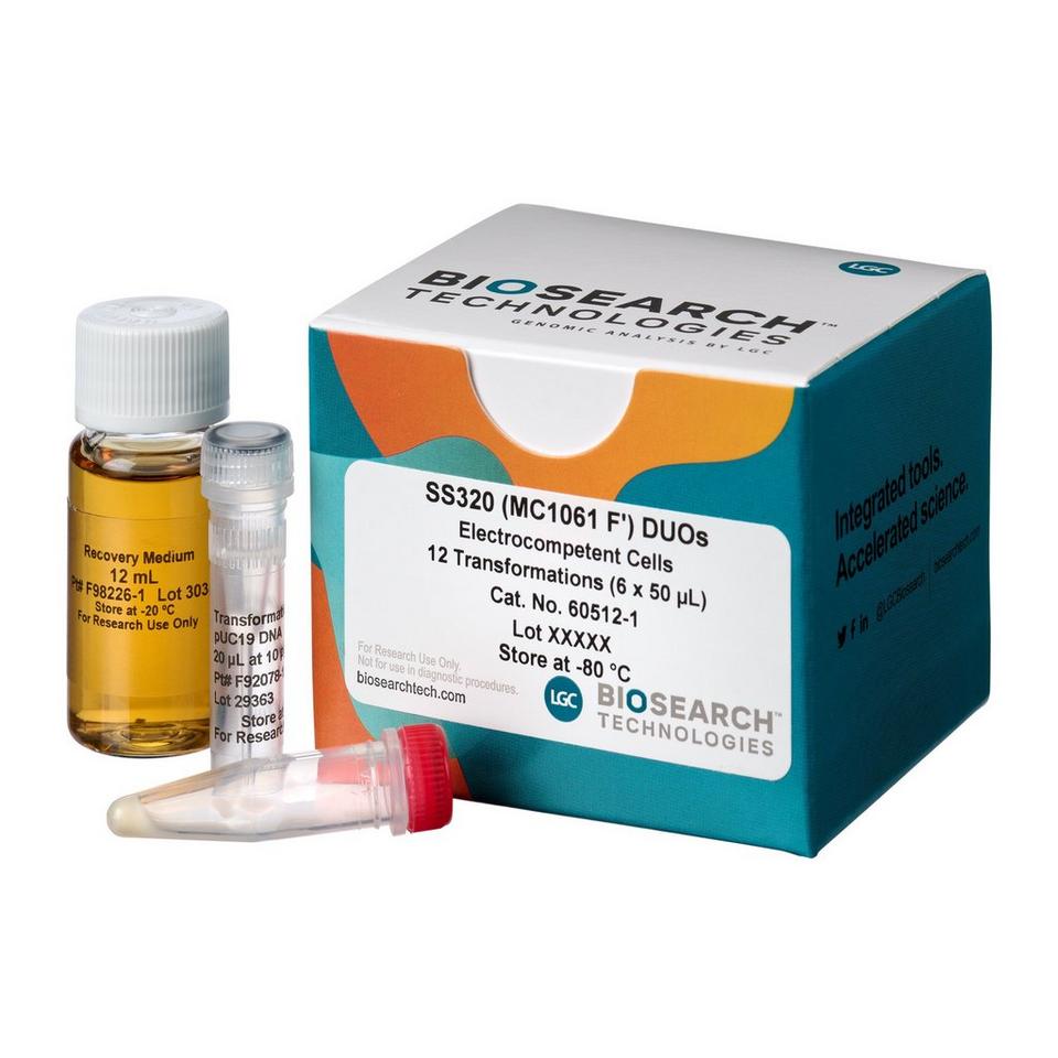 SS320 (MC1061 F') Electrocompetent Cells | LGC, Biosearch Technologies