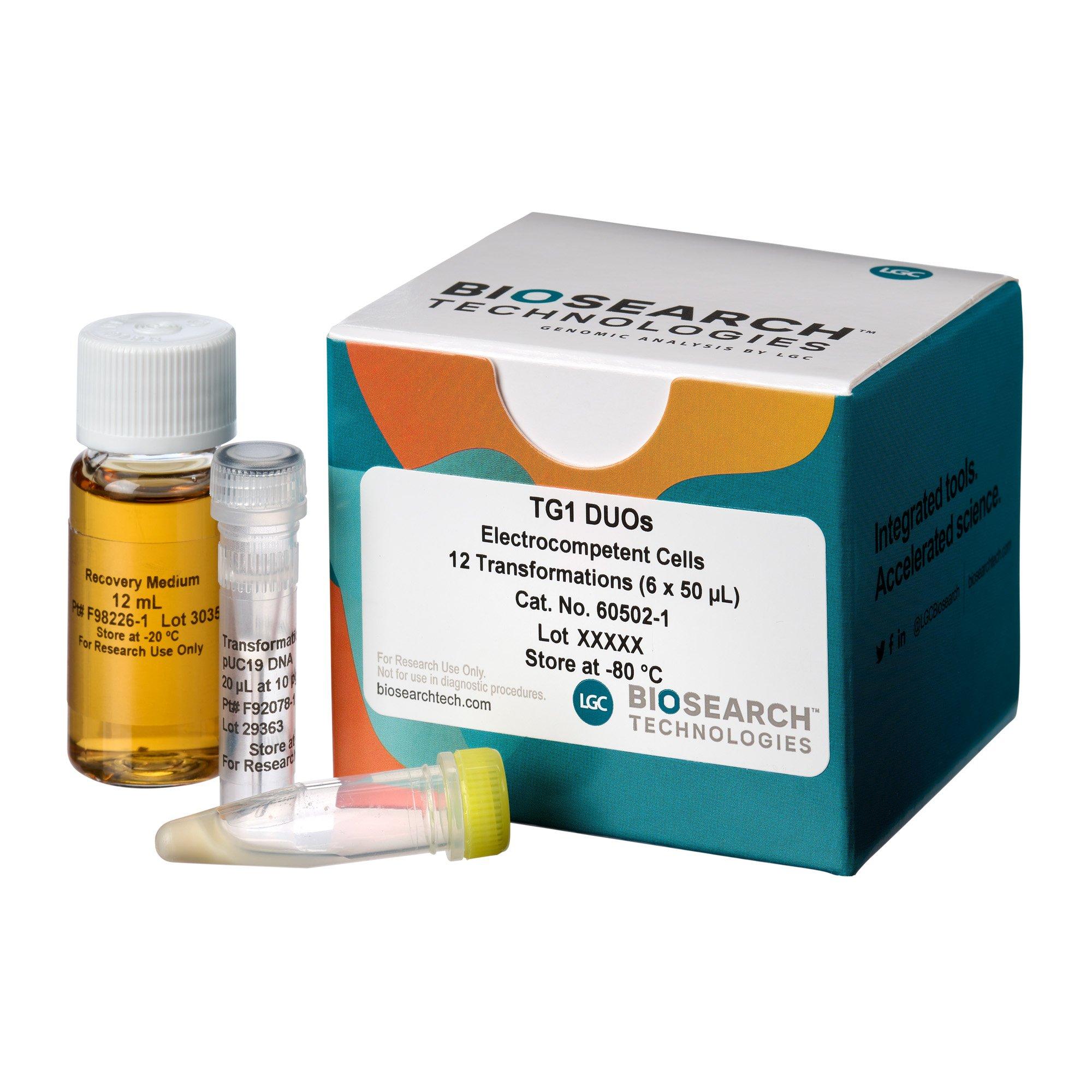 TG1 Electrocompetent Cells