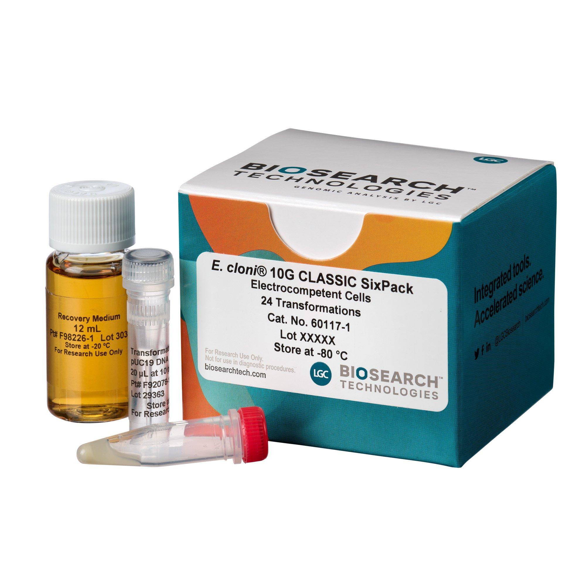 E. cloni 10G Classic Electrocompetent Cells, Efficiency >5 x 109 cfu/µg