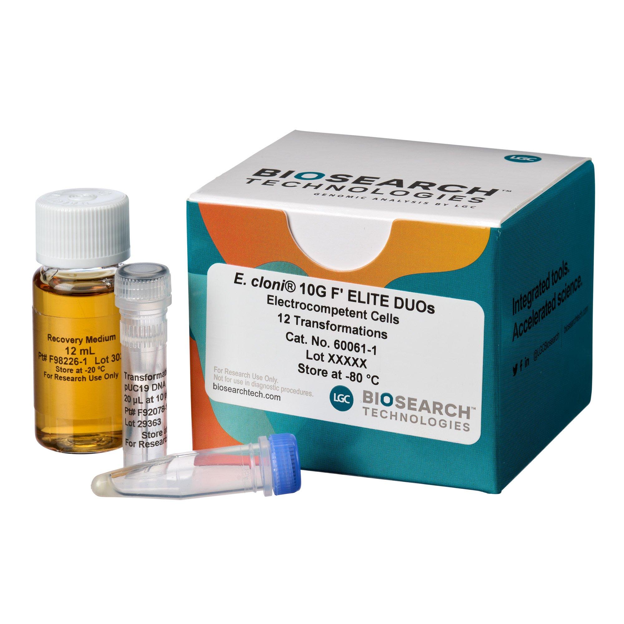 E. cloni 10GF' Electrocompetent Cells, Efficiency >2 x 1010 cfu/µg