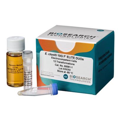 E. cloni 10GF' Electrocompetent Cells, Efficiency >2 x 1010 cfu/µg