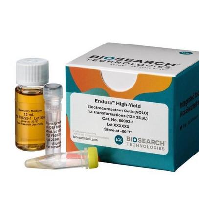 Endura™ High-Yield Electrocompetent Cells