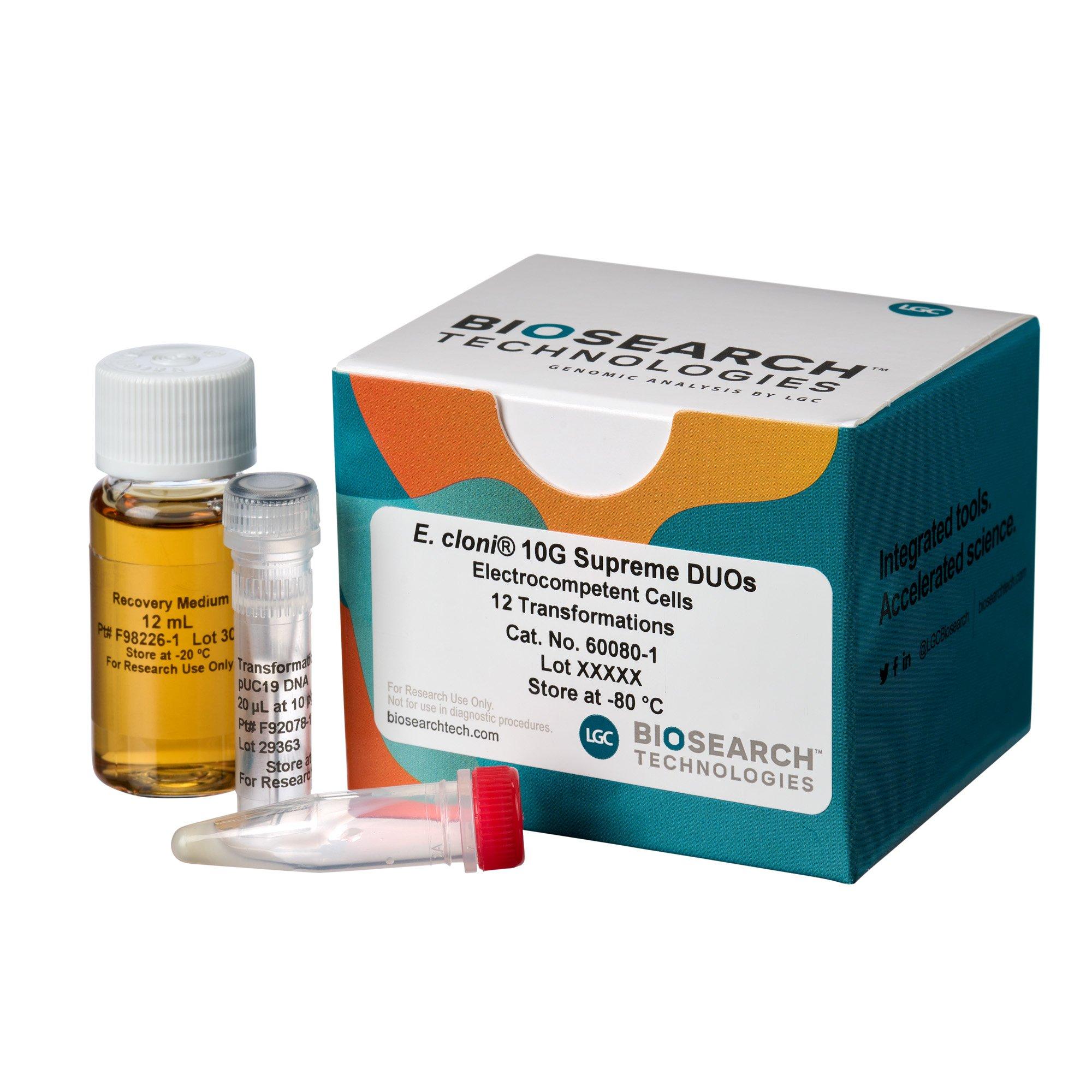 E. cloni 10G Supreme Electrocompetent Cells, Efficiency >4 x 1010 cfu/µg