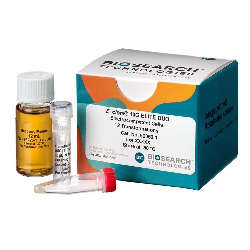 E. cloni 10G Elite Electrocompetent Cells, Efficiency >2 x 1010 cfu/µg
