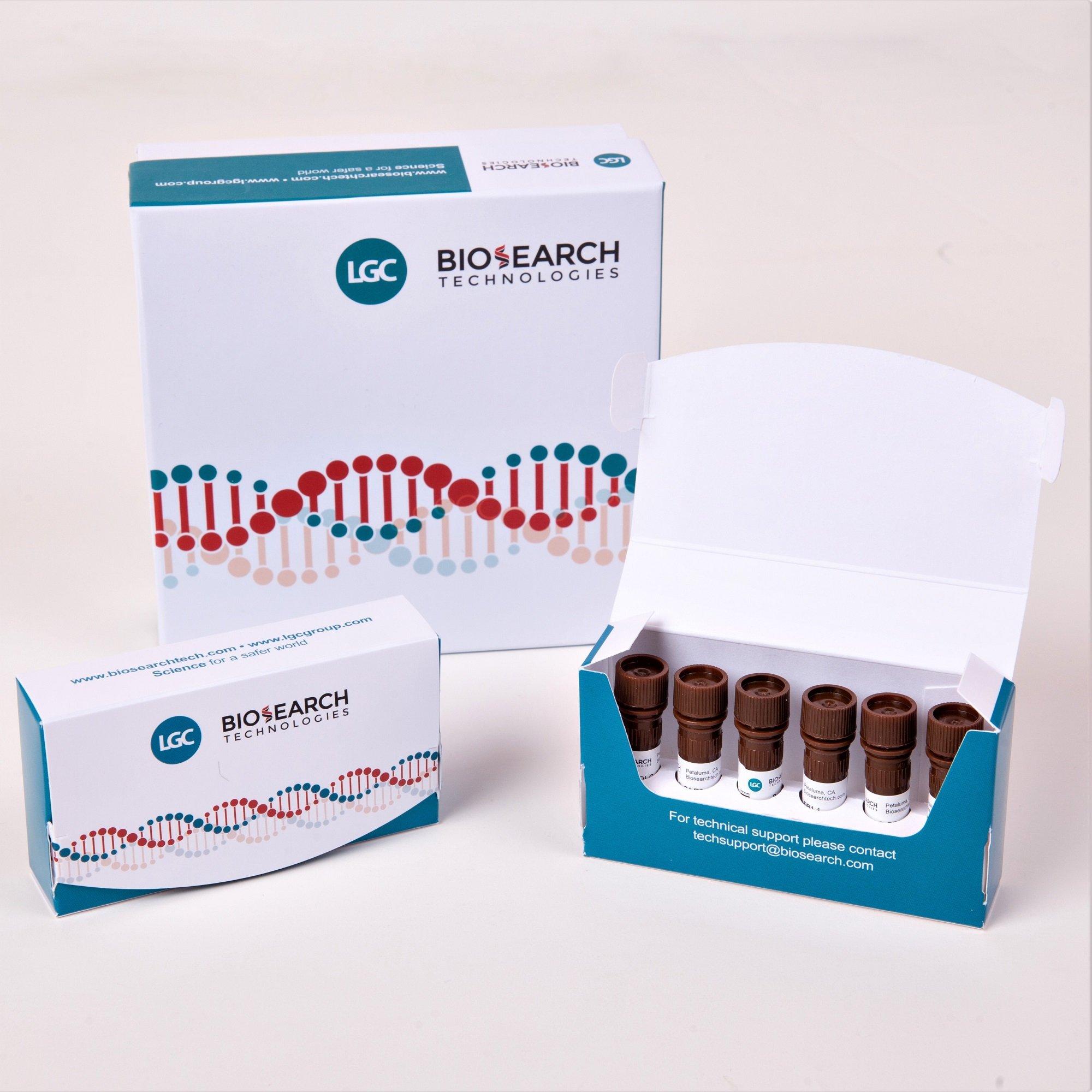 Charite E_Sarbeco FAM-BBQ-650 Probe, 5 nmol