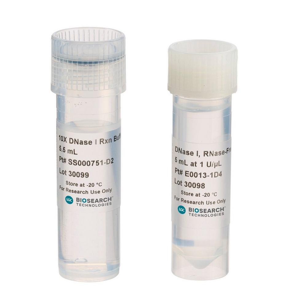 RNase-Free DNase I, 1 U/µL,  5000 Units