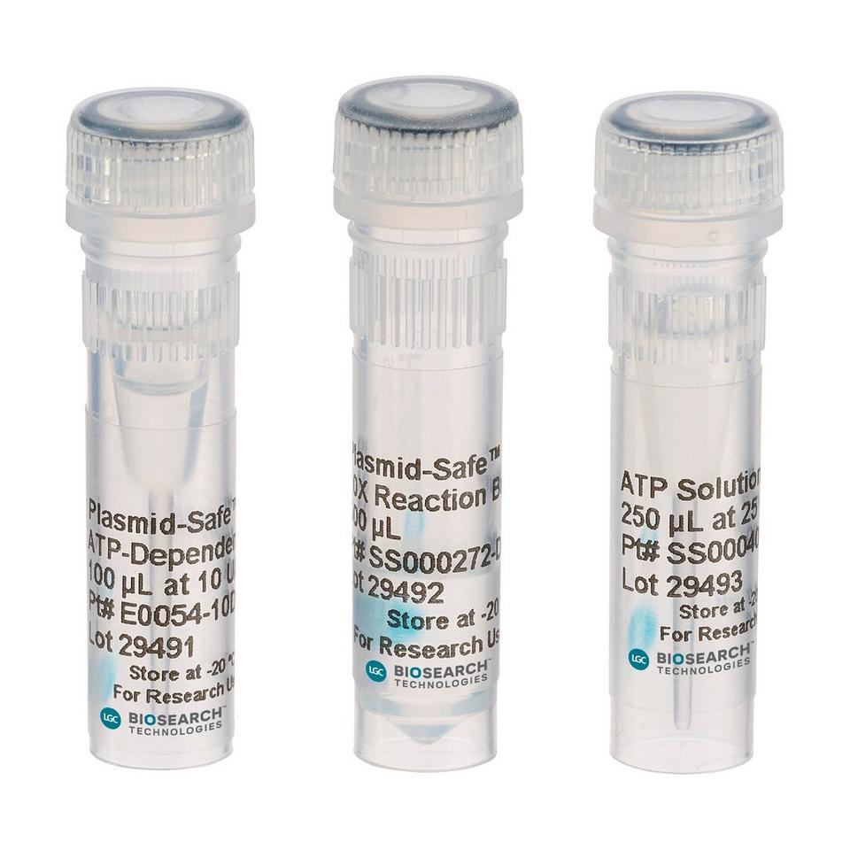 Plasmid-Safe ATP-Dependent DNase, 10 U/µL, 1000 Units