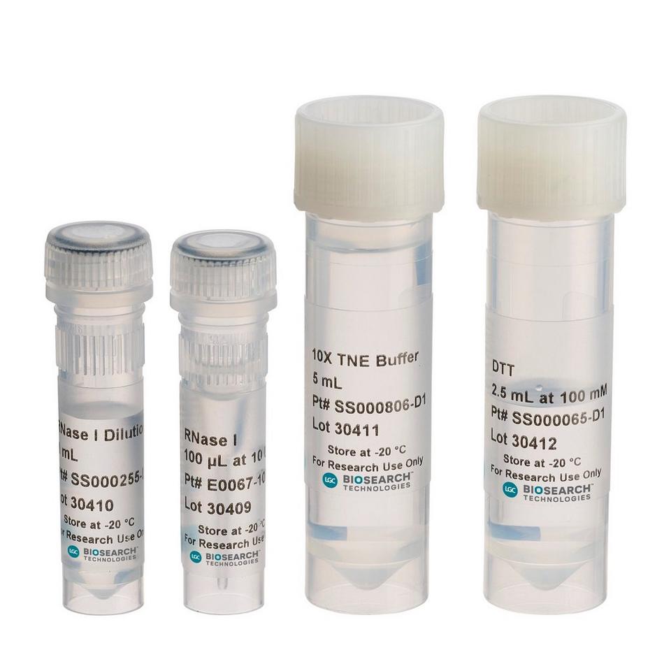 RNase I