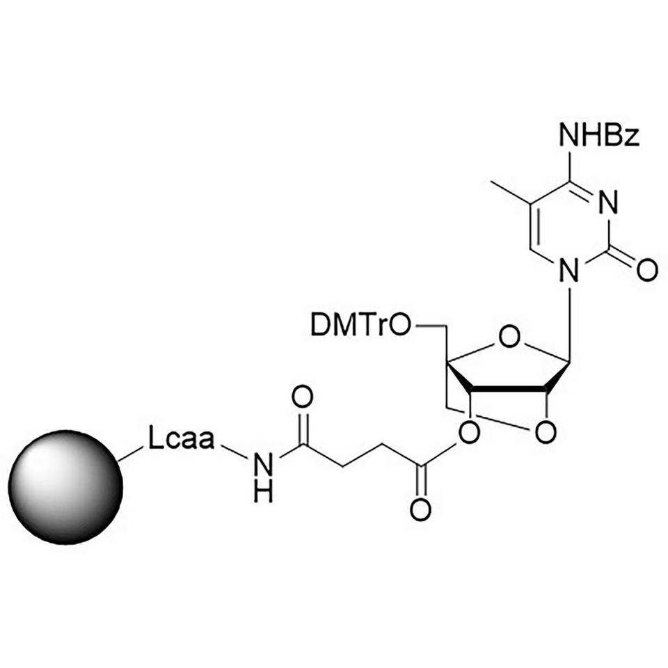 LNA-C(5-Me) (Bz) CNA CPG