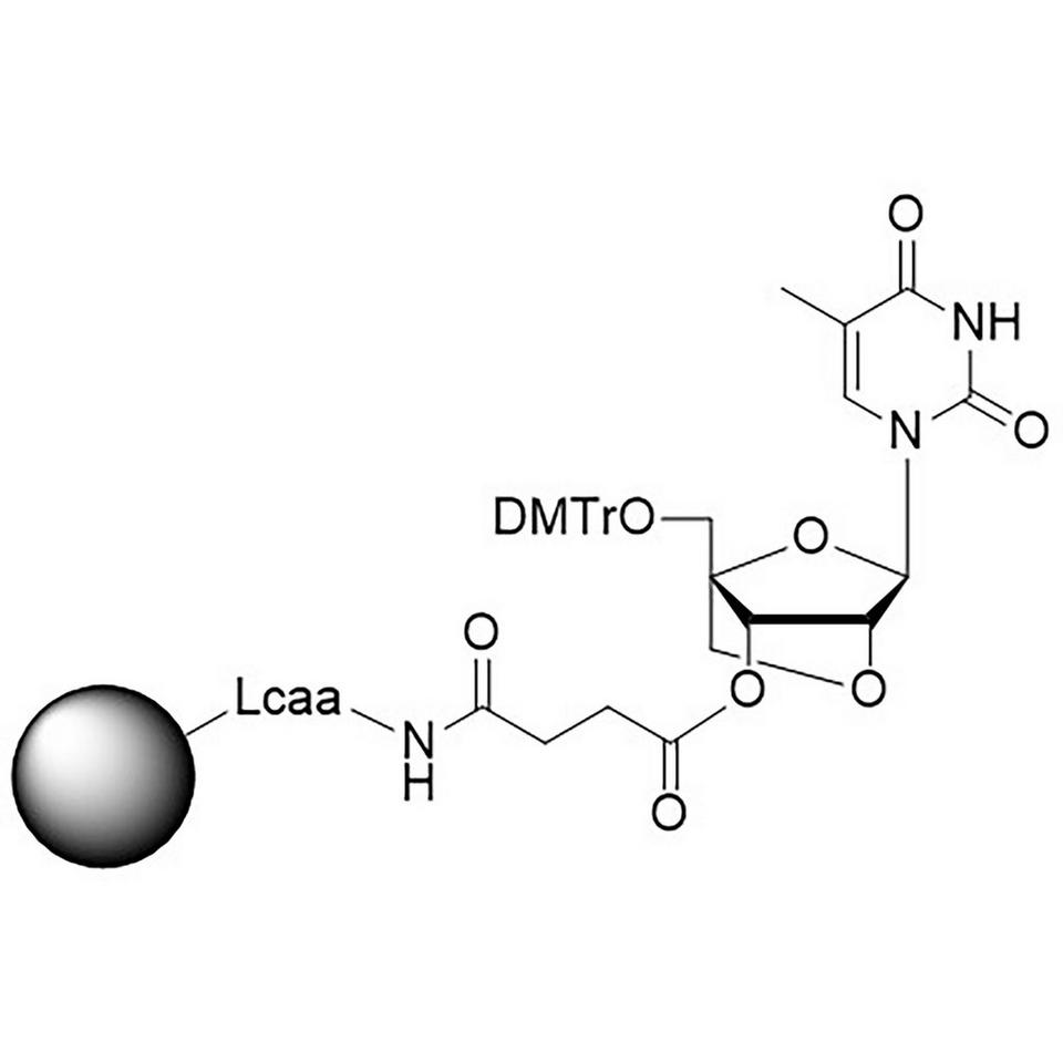 LNA-T CNA CPG