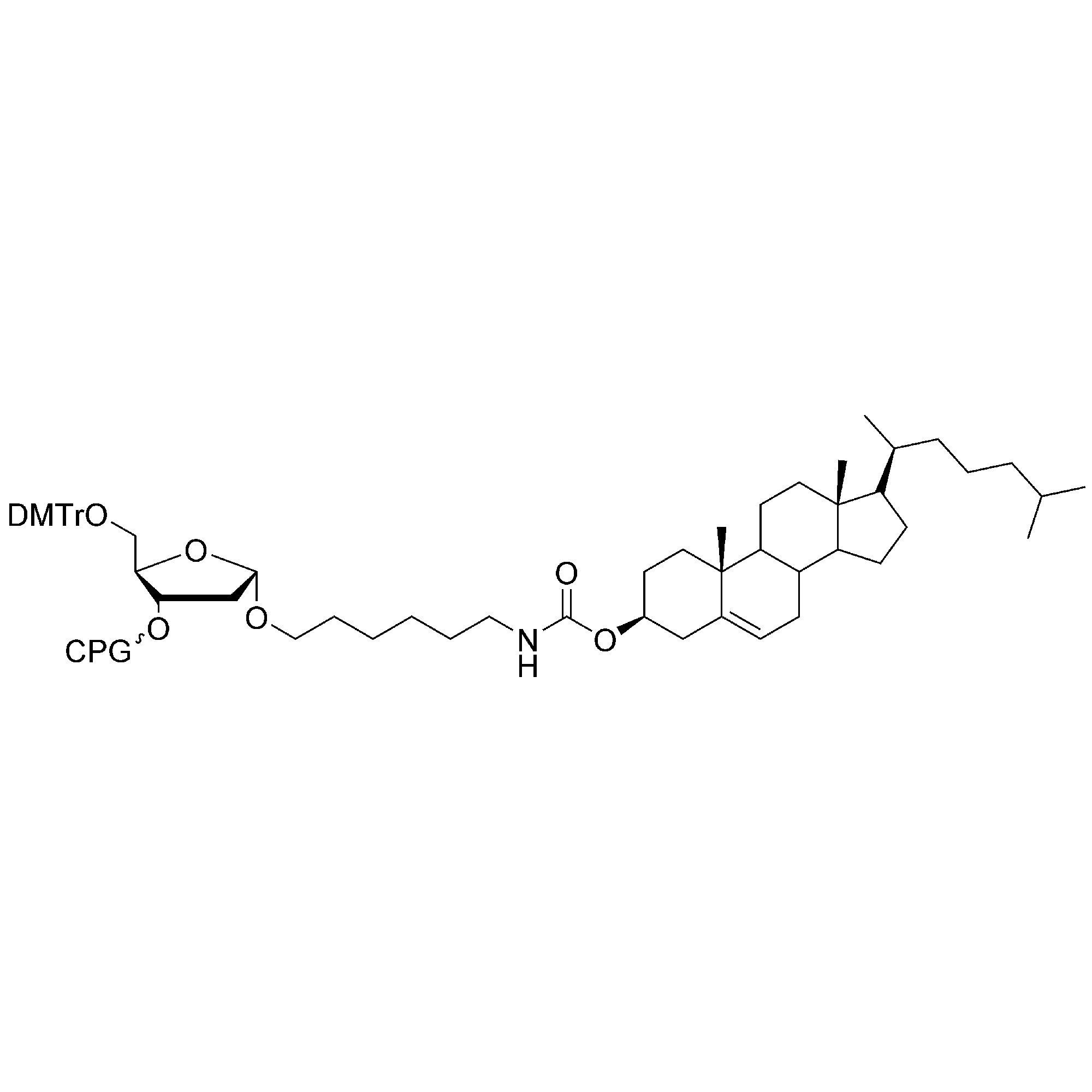 3'-Cholesterol CPG
