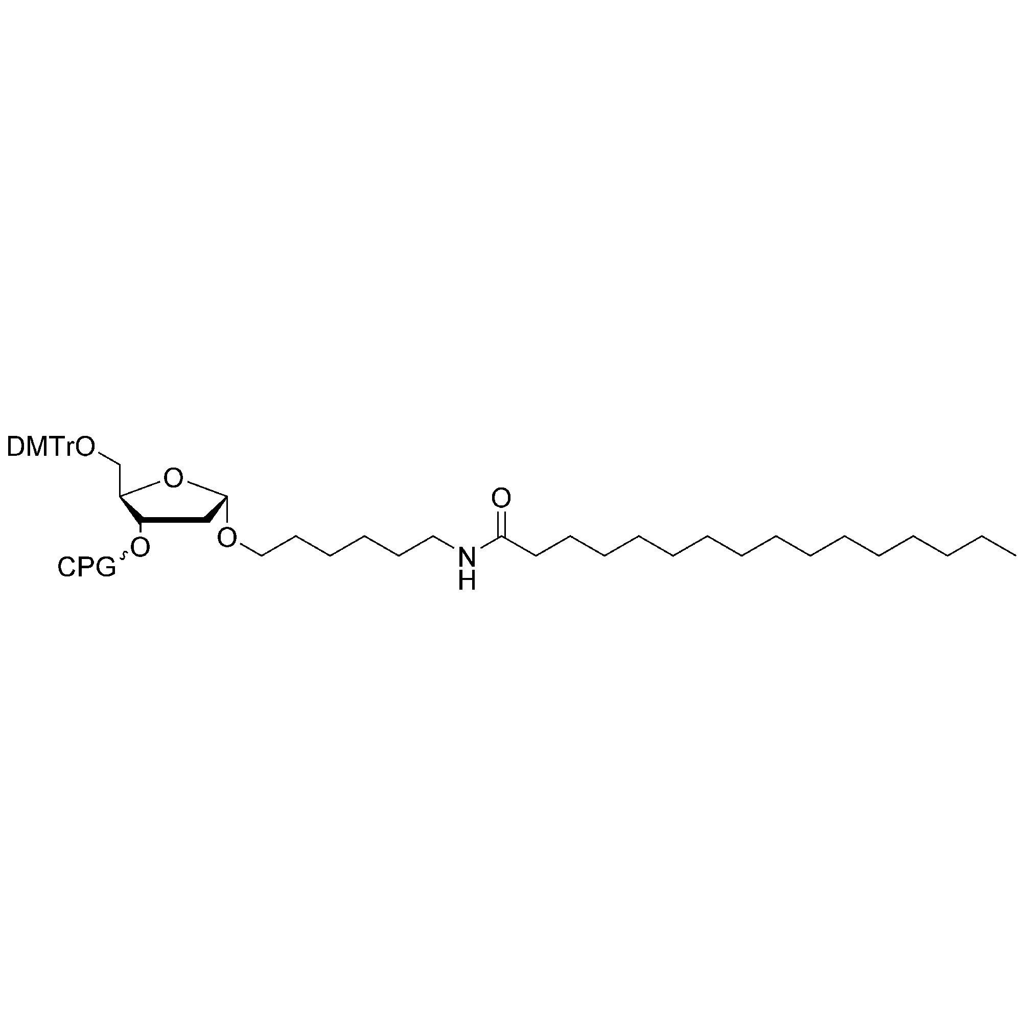 3’-Palmitamido-C6-dR CPG Column