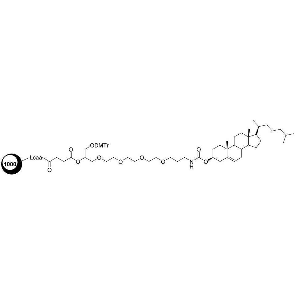 3'-Cholesteryl-TEG CPG