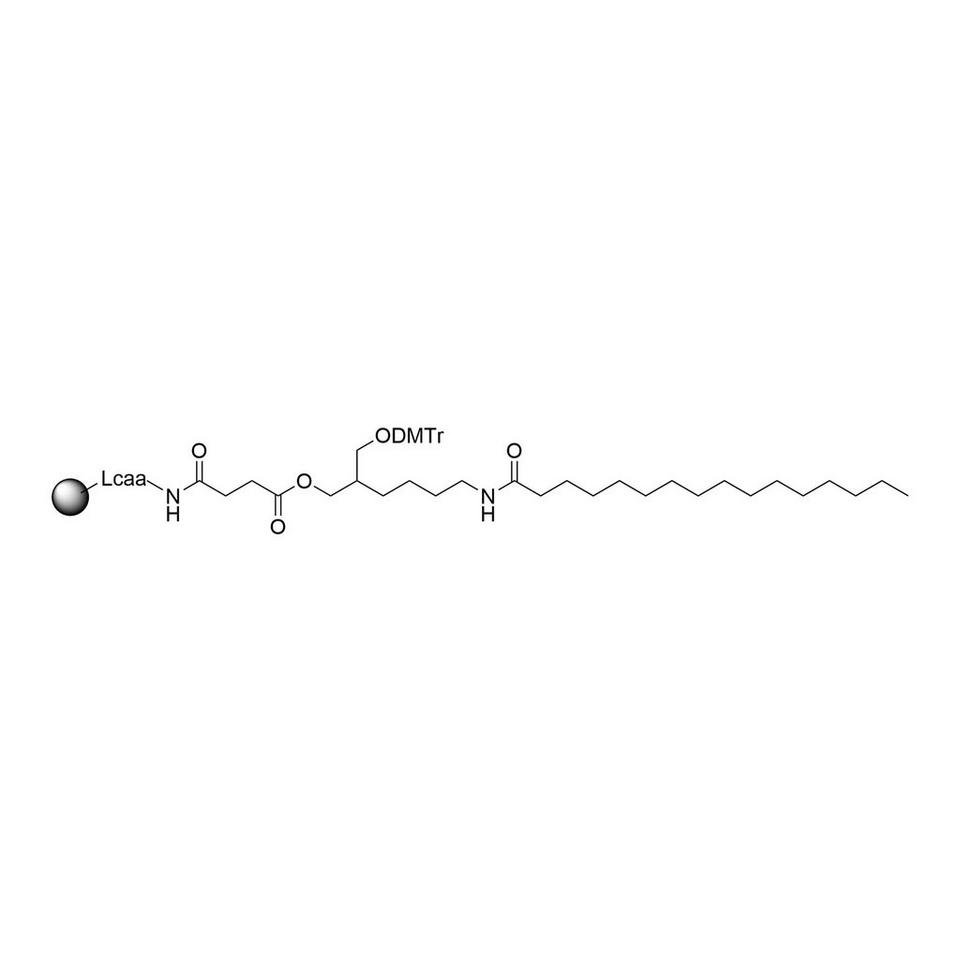 3'-Palmitamido-C7 CPG