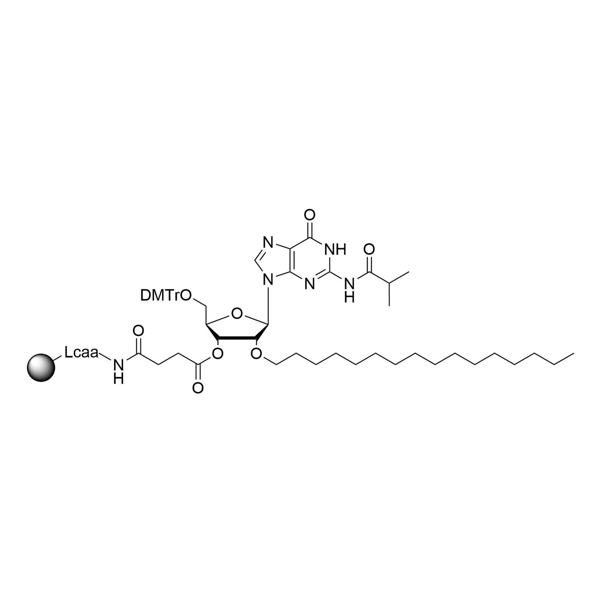 2'-O-C16 G (iBu) CPG