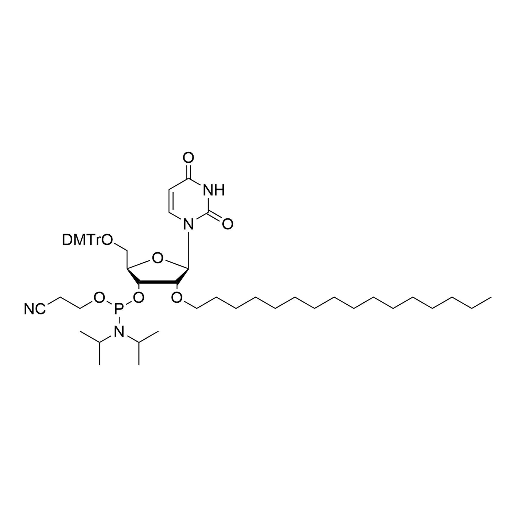 2'-O-C16 U CE-Phosphoramidite