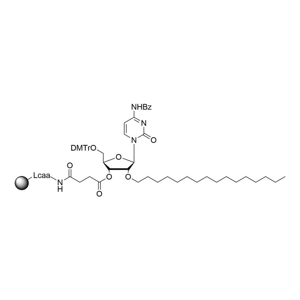 2'-O-C16 C (Bz) CPG