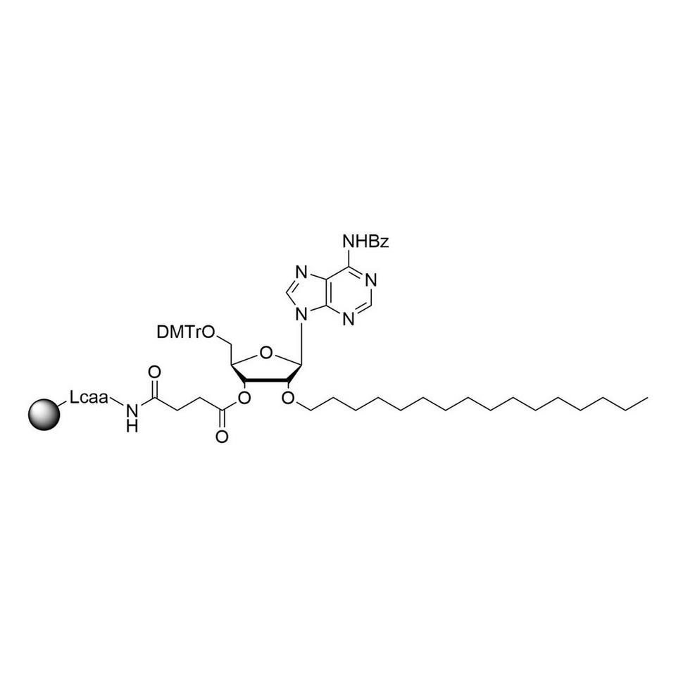 2'-O-C16 A (Bz) CPG