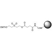 DMT-Phosphate-Suc-CPG Column (O-DMT-2,2'-sulfonyldiethanol-Suc-CPG)
