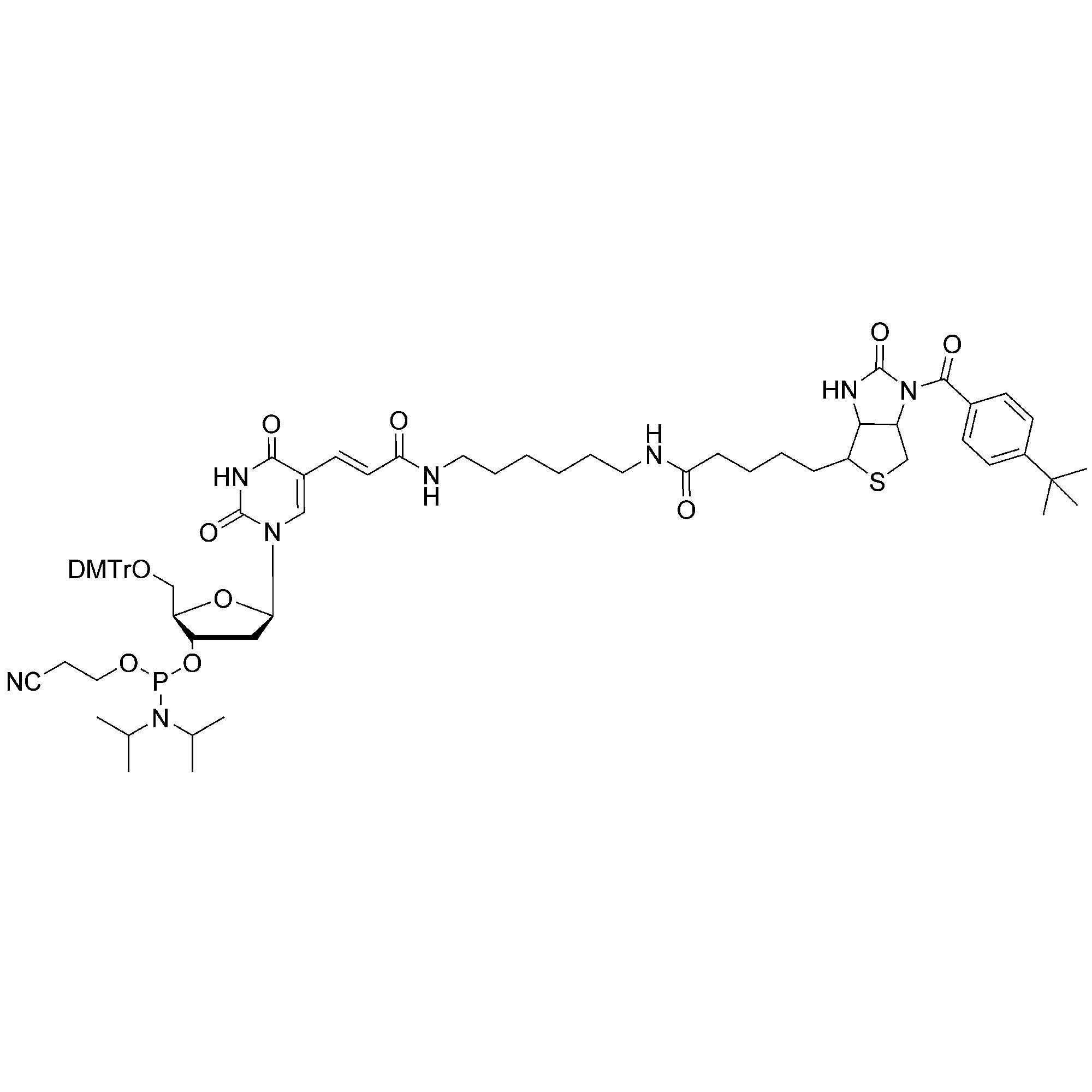 Biotin-dT CE-Phosphoramidite