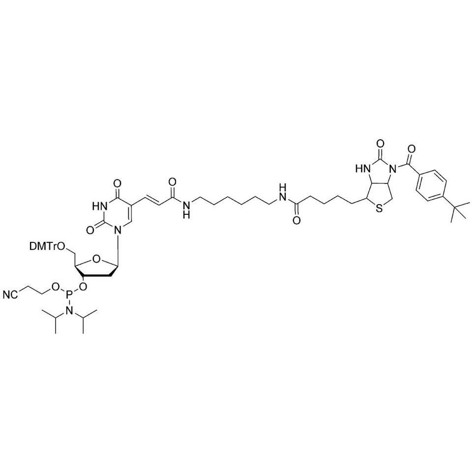Biotin-dT CE-Phosphoramidite