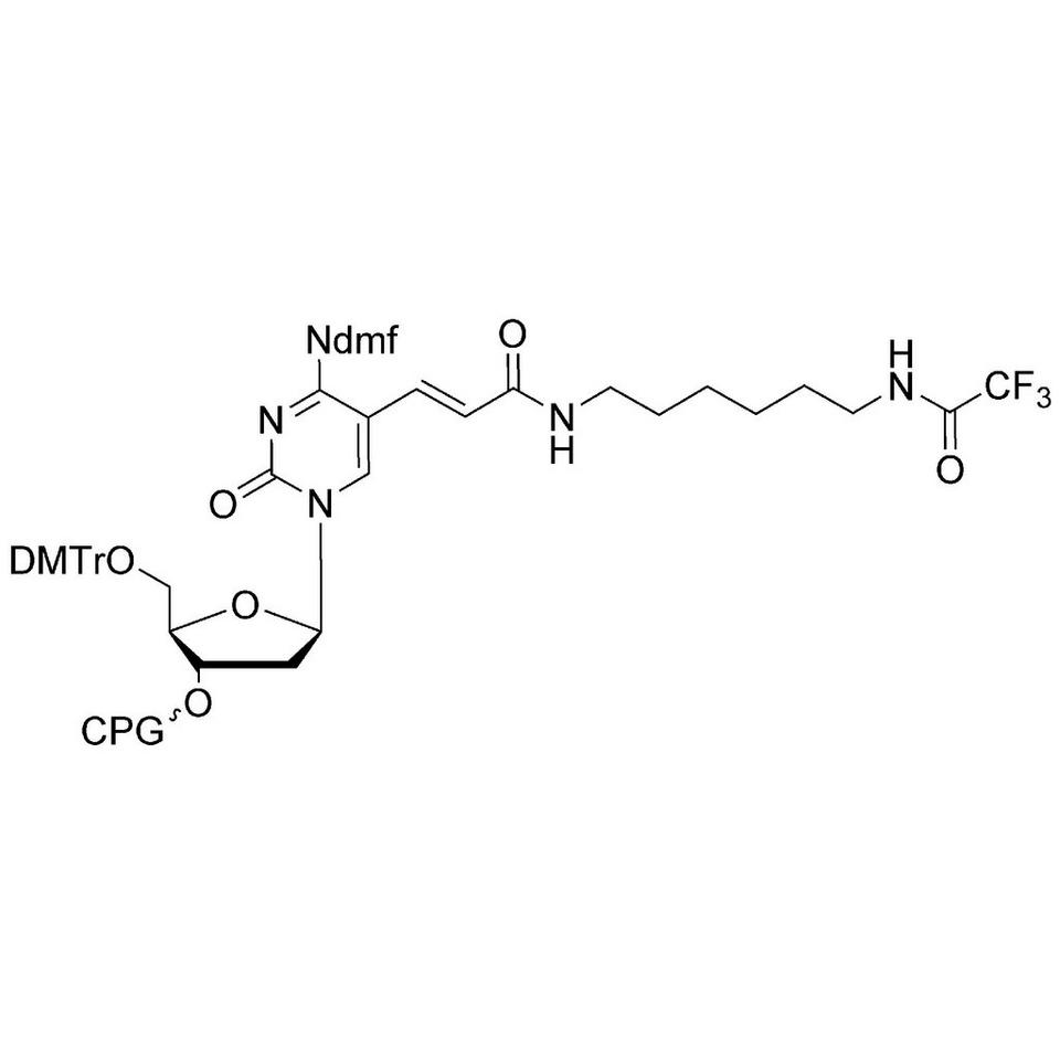 3'-Amino Modifier C6-dC CPG