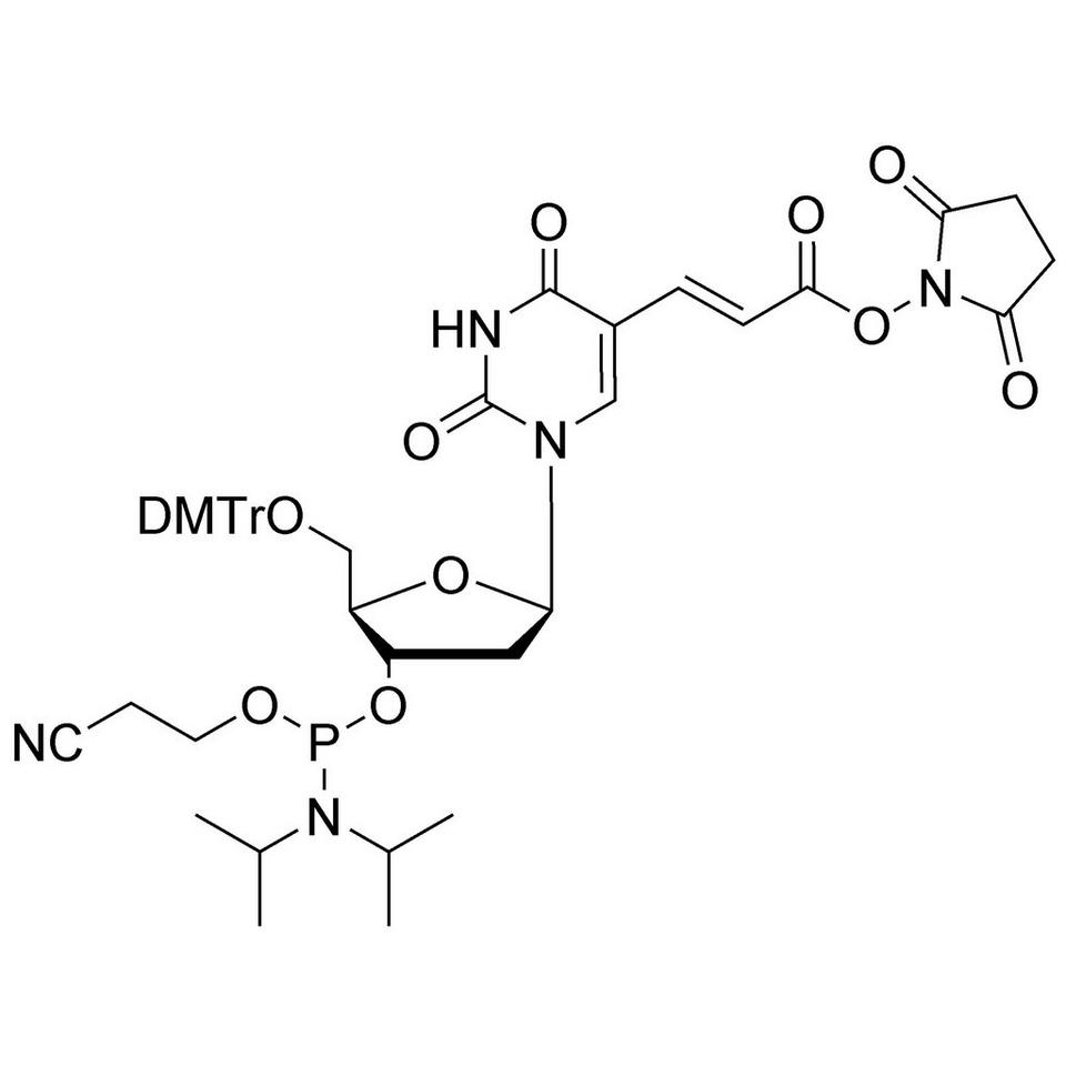 NHS-Carboxy-dT CE-Phosphoramidite, BULK (g), Glass Screw-Top