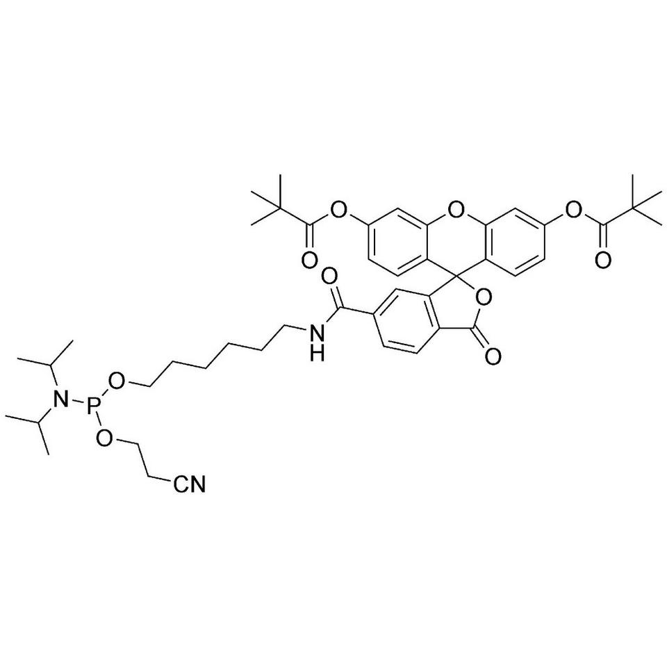 5'-Fluorescein CE-Phosphoramidite (6-FAM), 50 μmol, ABI (8 mL / 20 mm Septum)