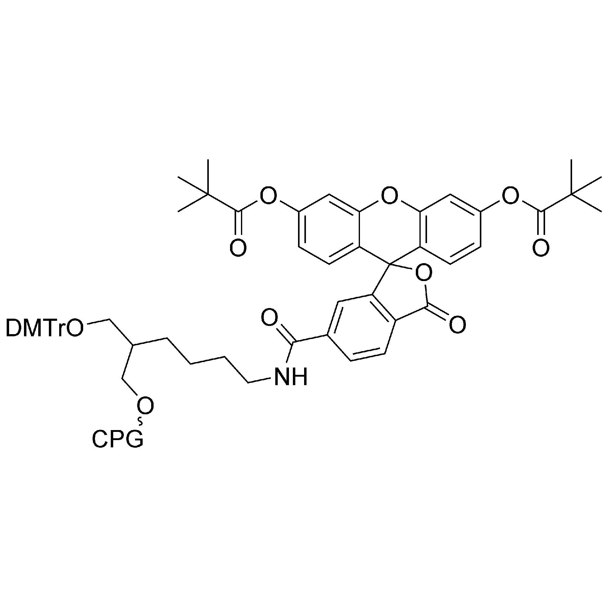 3'-(6-Fluorescein) CPG Column