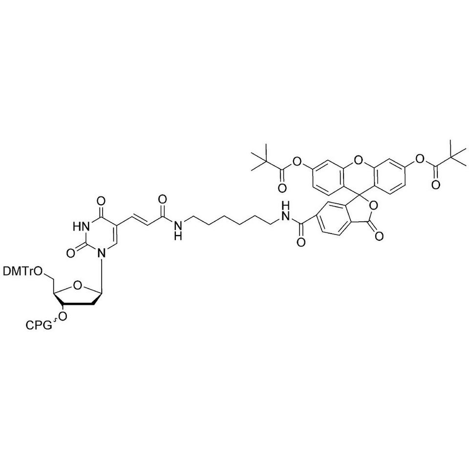 3'-Fluorescein-dT CPG, 1000 Å, Standard Loading, BULK (g)