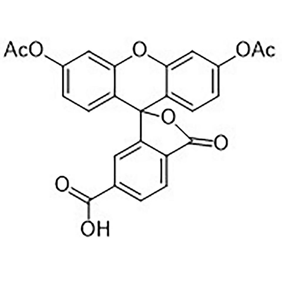 6-Carboxyfluorescein Diacetate, 500 mg, Glass Screw-Top