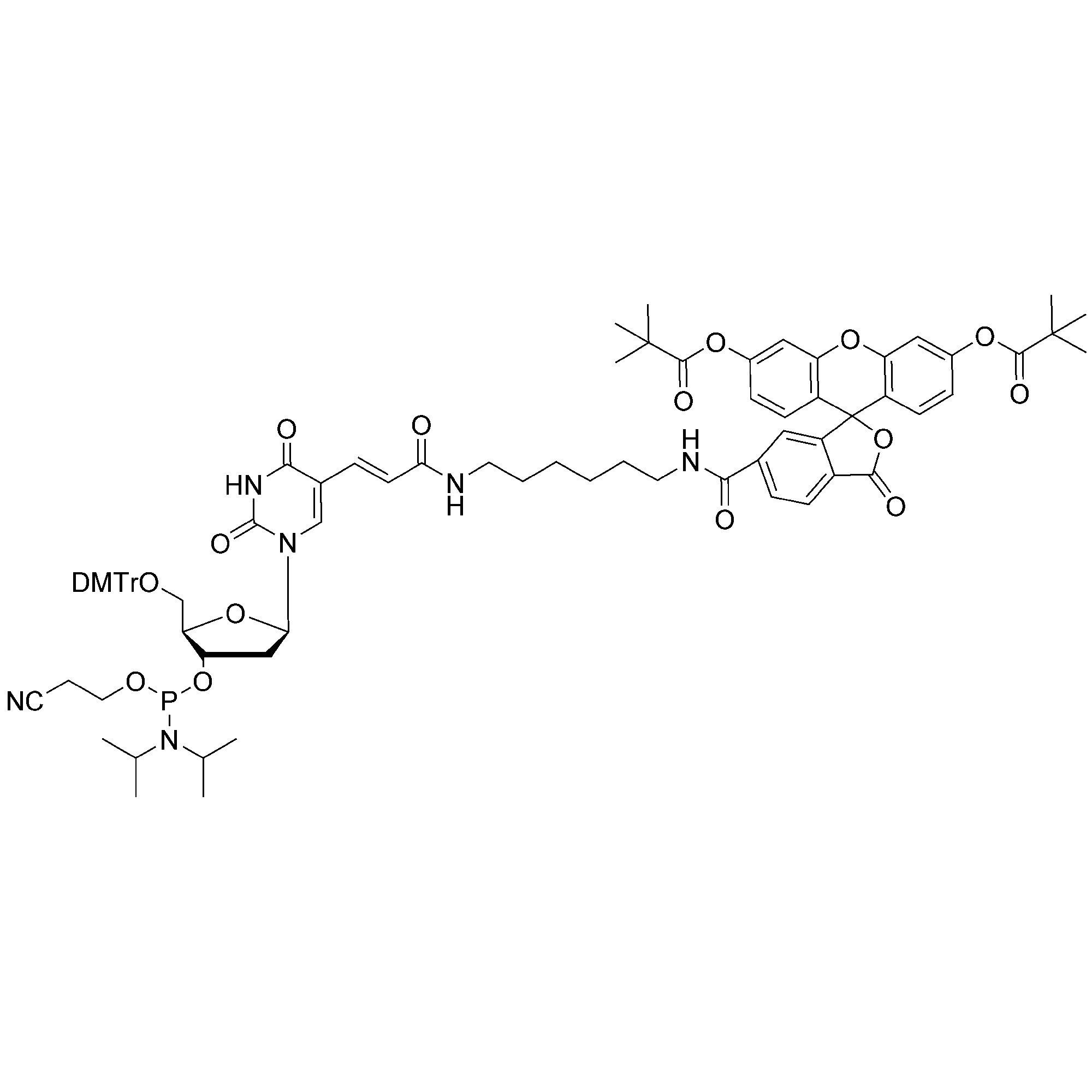 Fluorescein-dT CE-Phosphoramidite